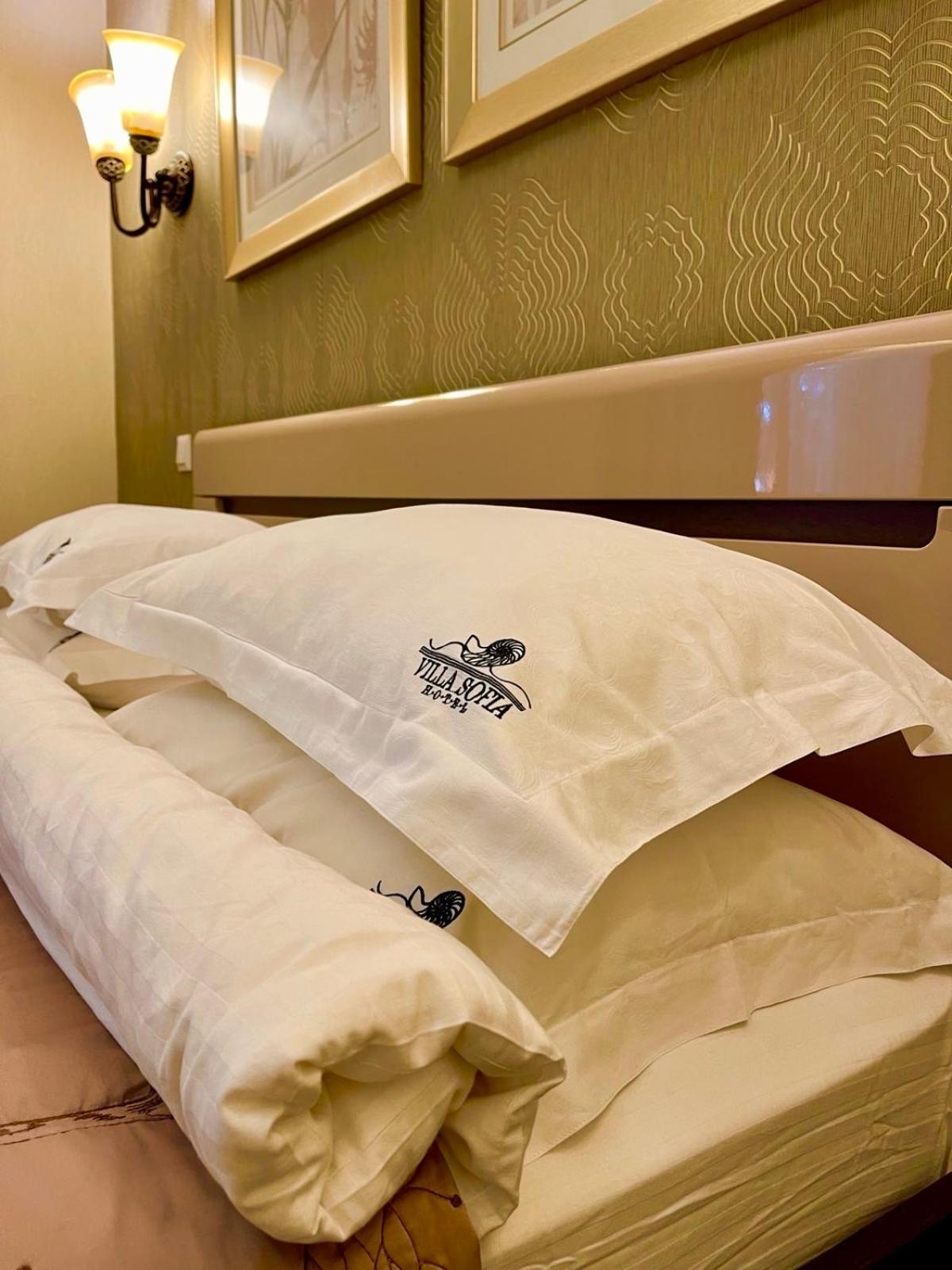 Villa-Sofia Mini-Hotel Odessa Eksteriør bilde